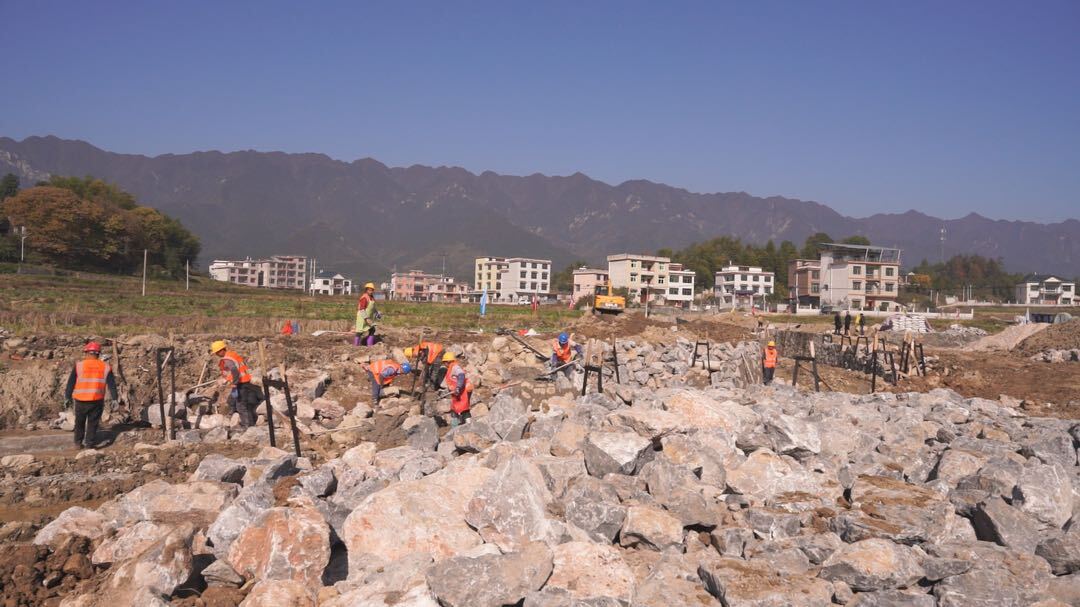 洞口县：扎实推进高标准农田建设
