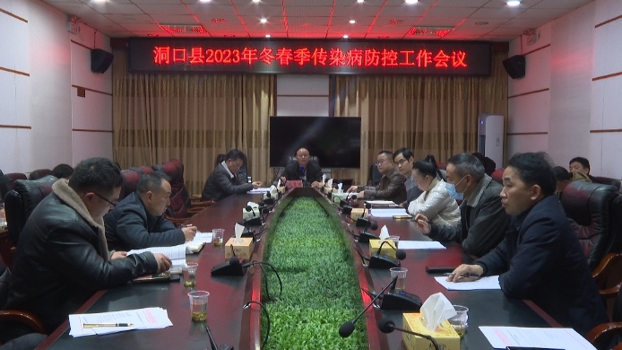 洞口县召开2023年冬春季传染病防控工作会议