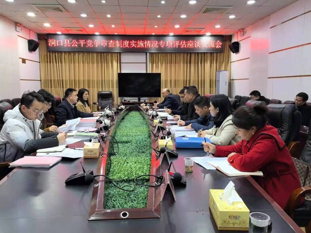 洞口县召开公平竞争审查制度实施情况专项评估座谈交流会