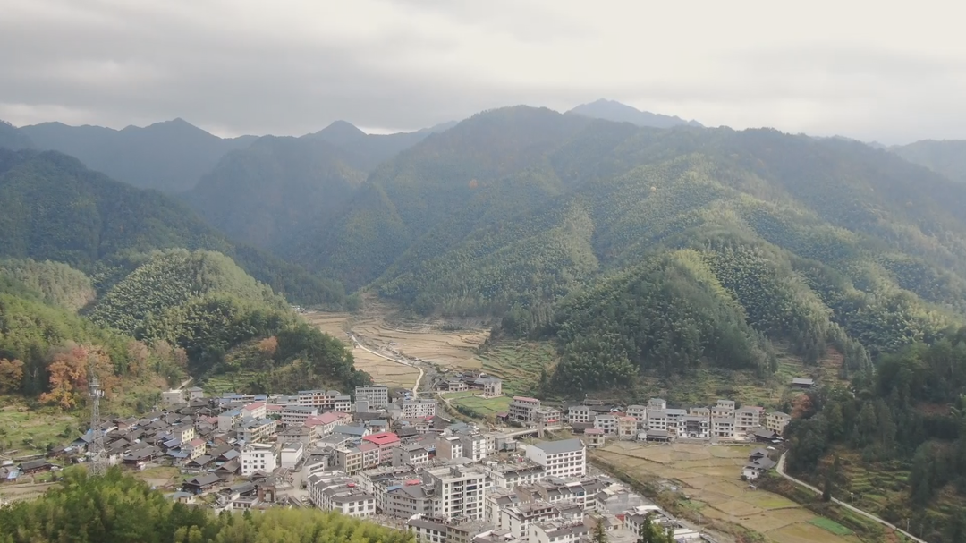 罗溪瑶族乡：冬笋正当季 村民采挖忙