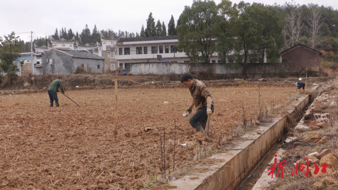 石江镇：水稻育秧备耕忙