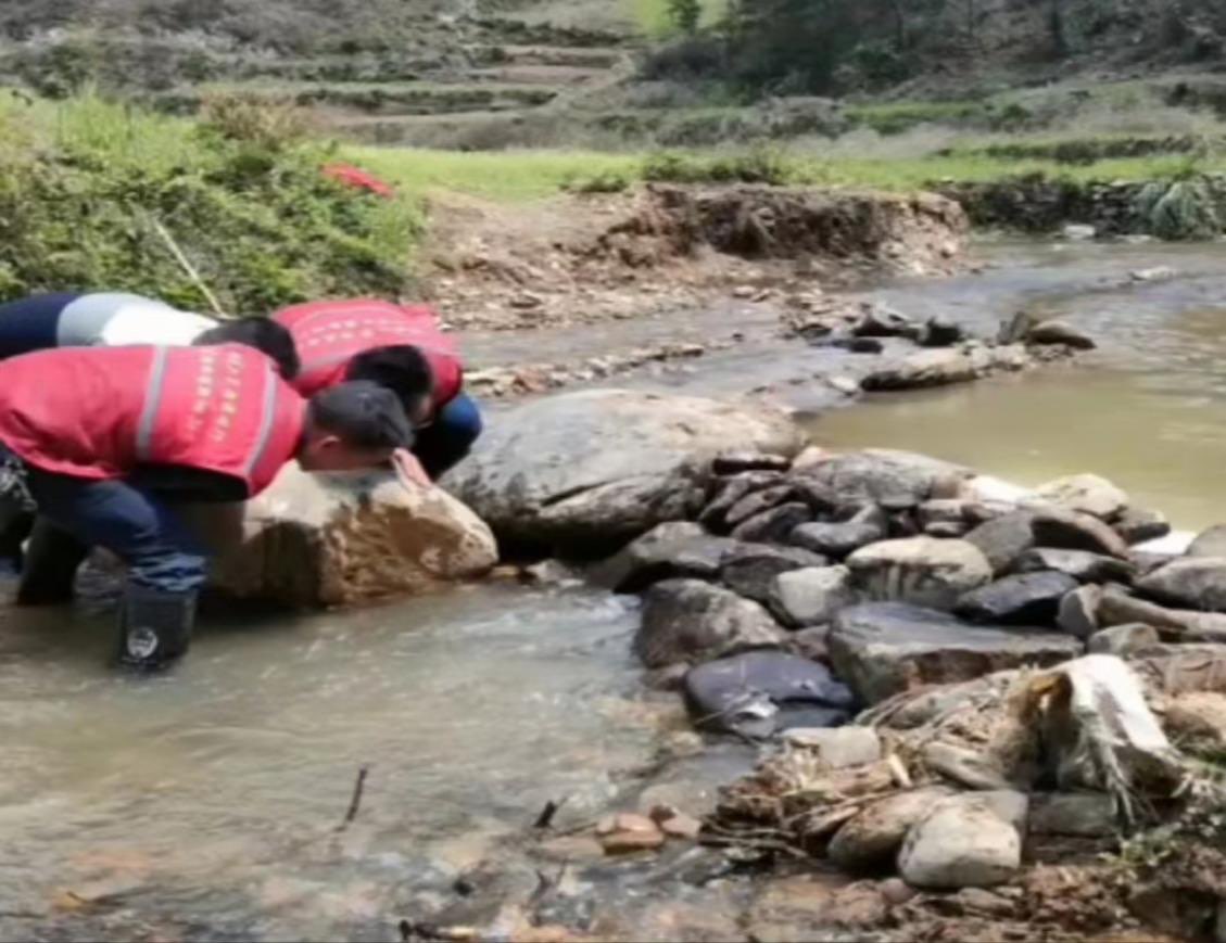 桐山乡：简易水坝润民心，助力抗旱保春耕