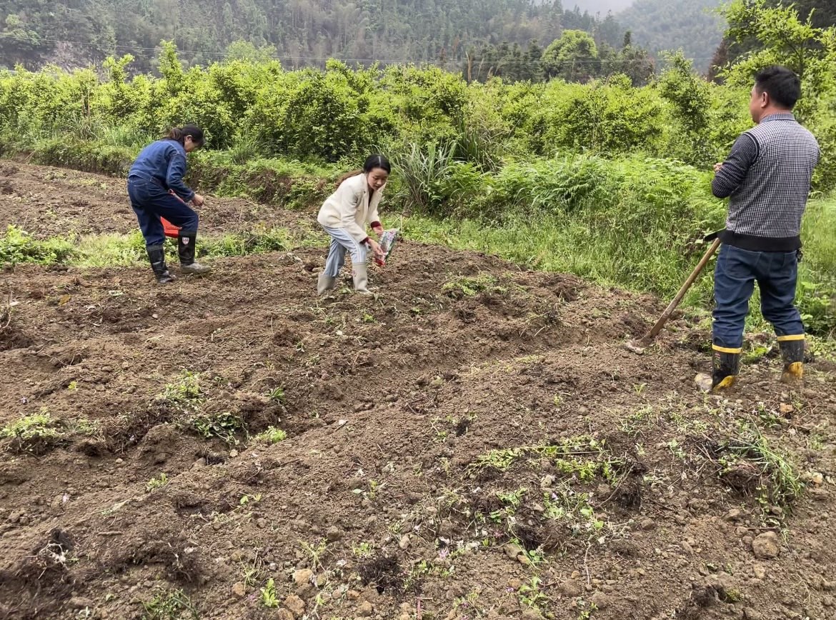 桐山乡大道村：打好春耕攻坚战  “硬骨头”变成“香饽饽”