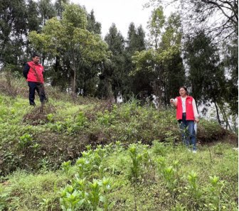 石柱镇： 无人机空中巡查  助力警民联合铲毒