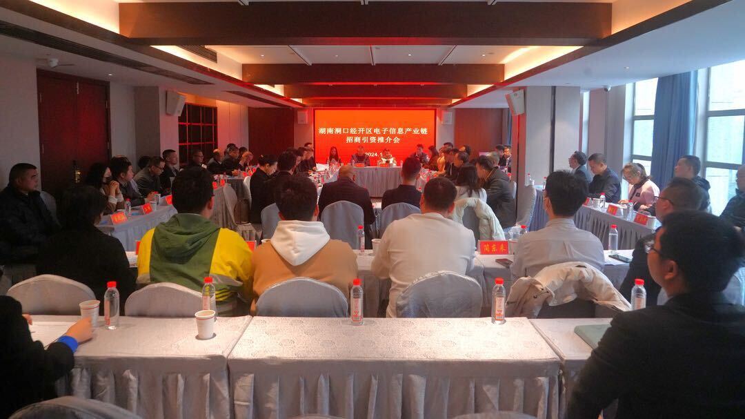 洞口经开区电子信息产业链招商引资推介会召开