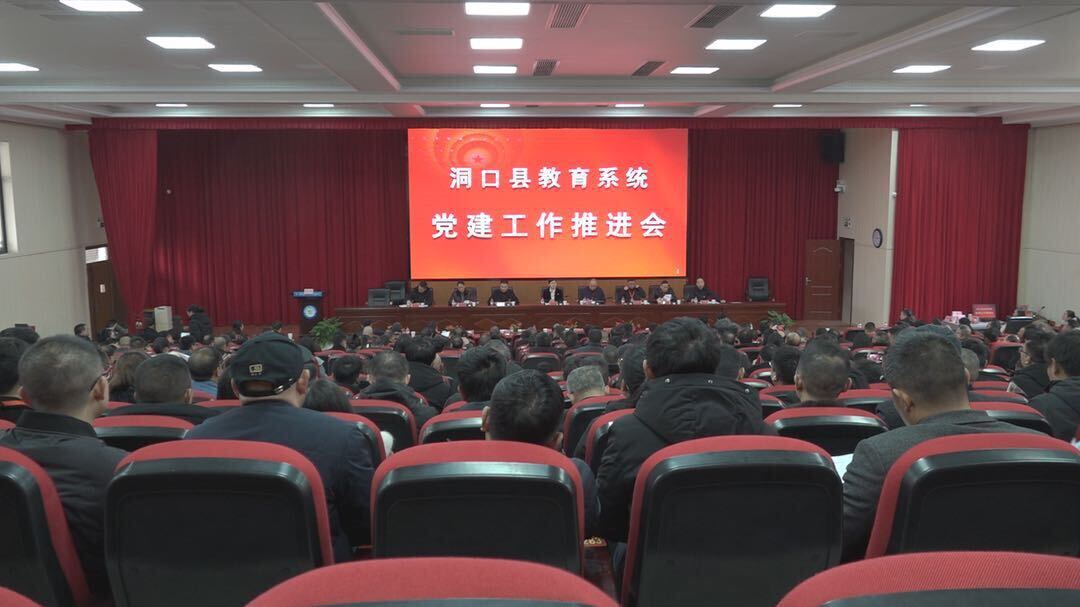 洞口县召开教育系统党建工作推进会