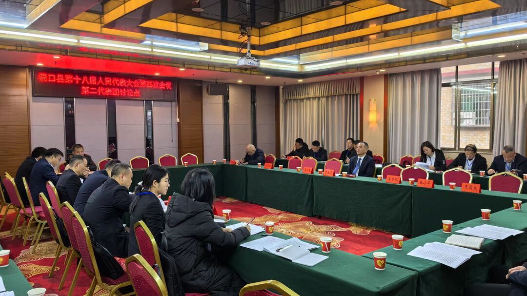 贺永亮参加洞口县第十八届人民代表大会第四次会议第二代表团讨论