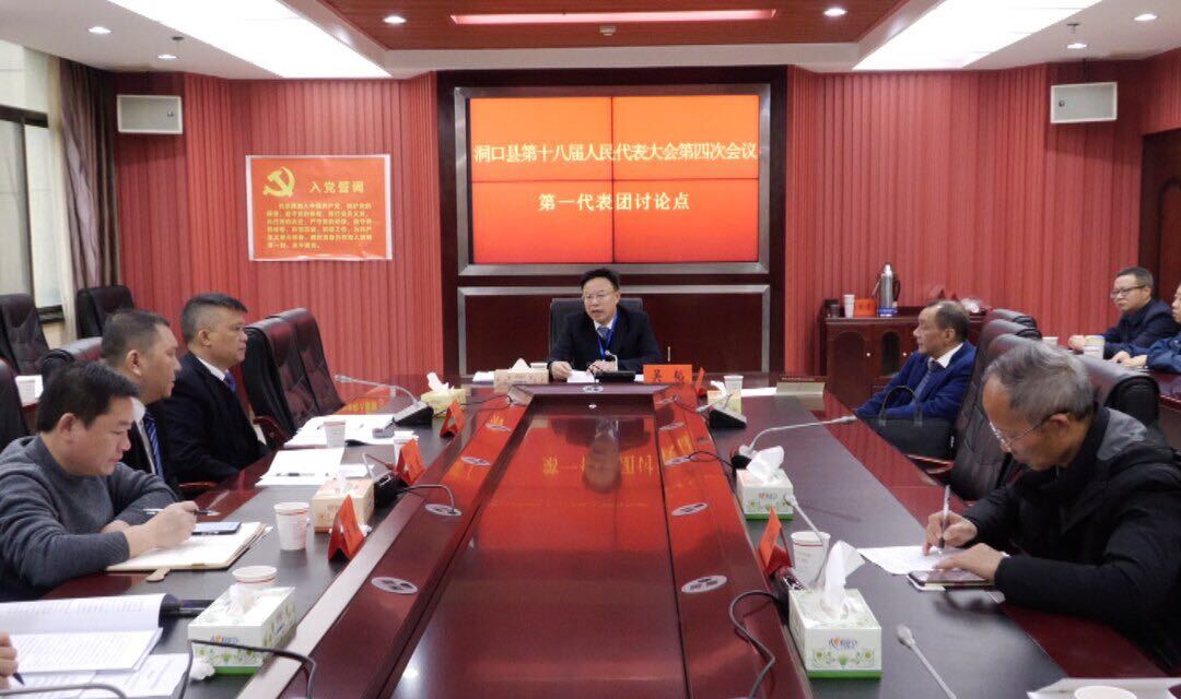 吴韬参加洞口县第十八届人民代表大会第四次会议第一代表团讨论  
