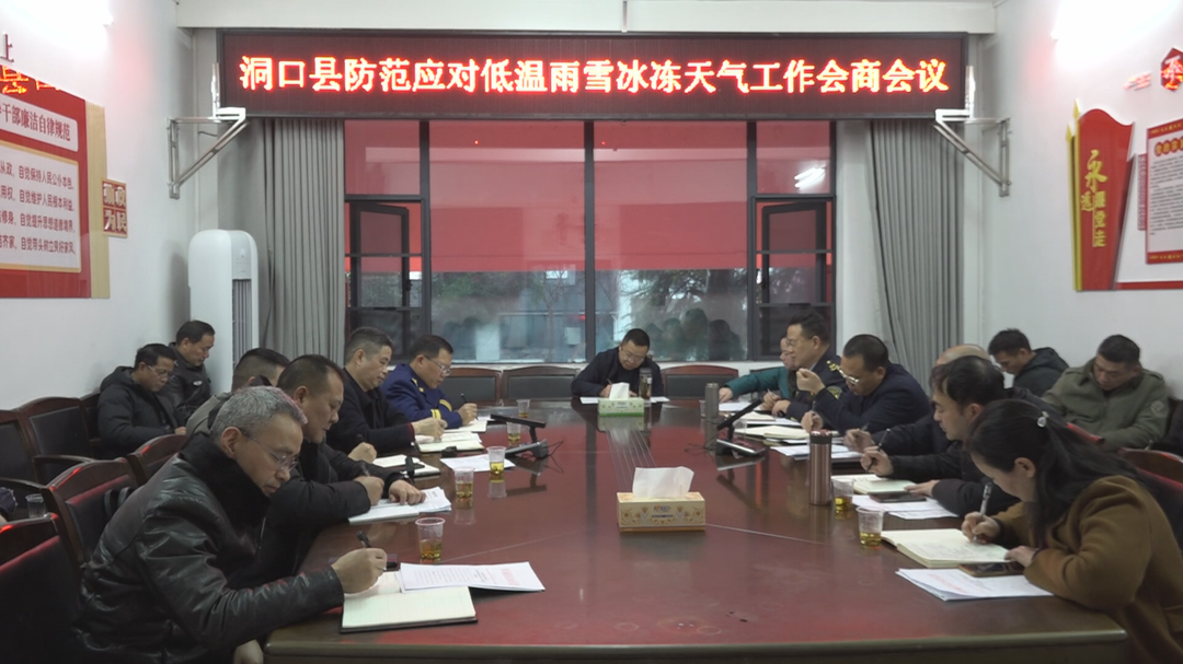 洞口县召开防范应对低温雨雪冰冻灾害天气工作会商会议