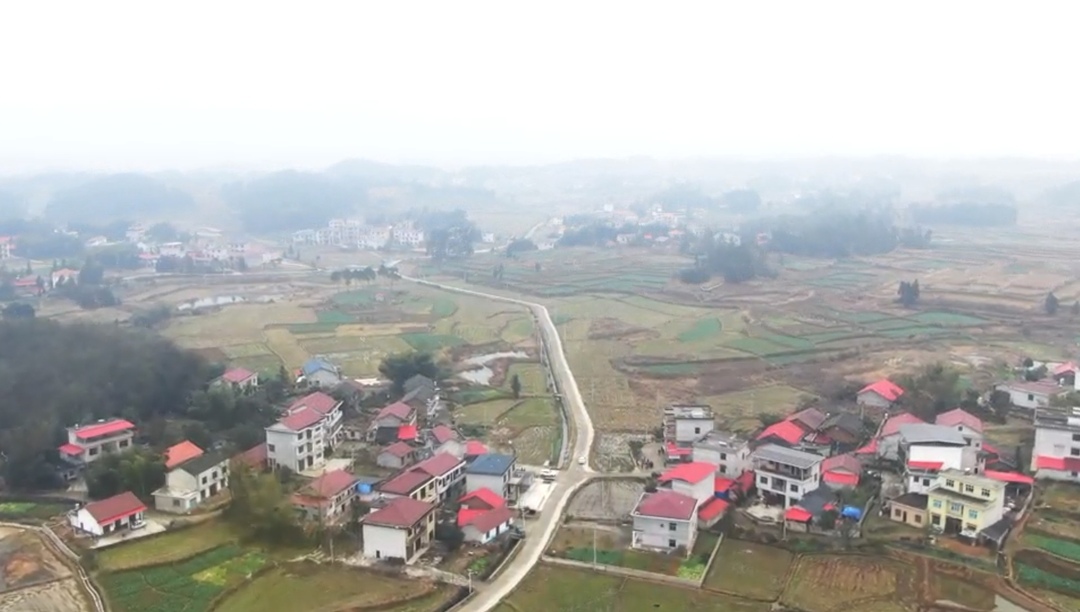 高沙镇飞山村：马蹄喜获丰收 村民致富“马不停蹄”