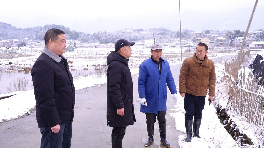 低温雨雪冰冻影响设施农业  农技专家支招补损