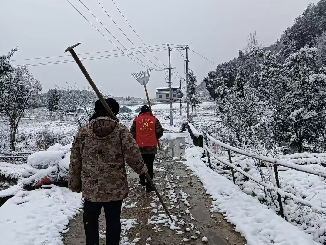 洞口县醪田镇：风雪中行动  服务暖民心