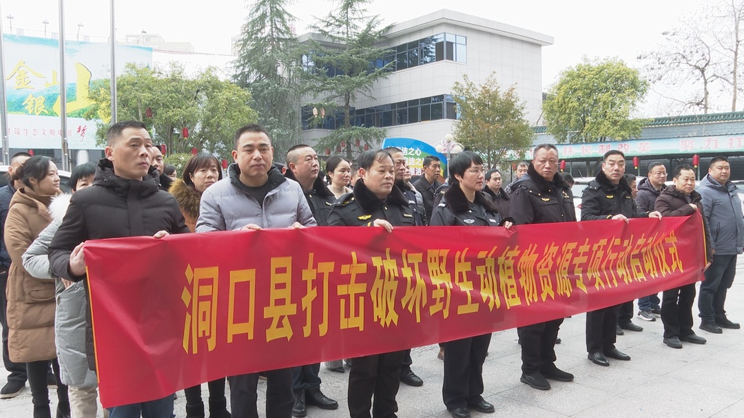 洞口县启动打击破坏野生动植物资源专项行动