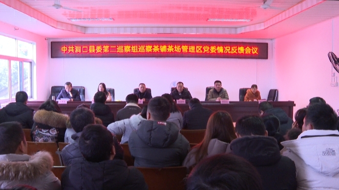 县委第二巡察组向茶铺茶场管理区党委反馈巡察情况