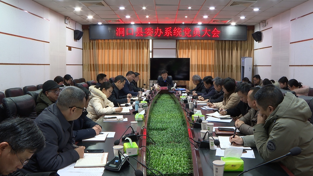 吴韬以普通党员身份参加县委办系统党员大会并上党课