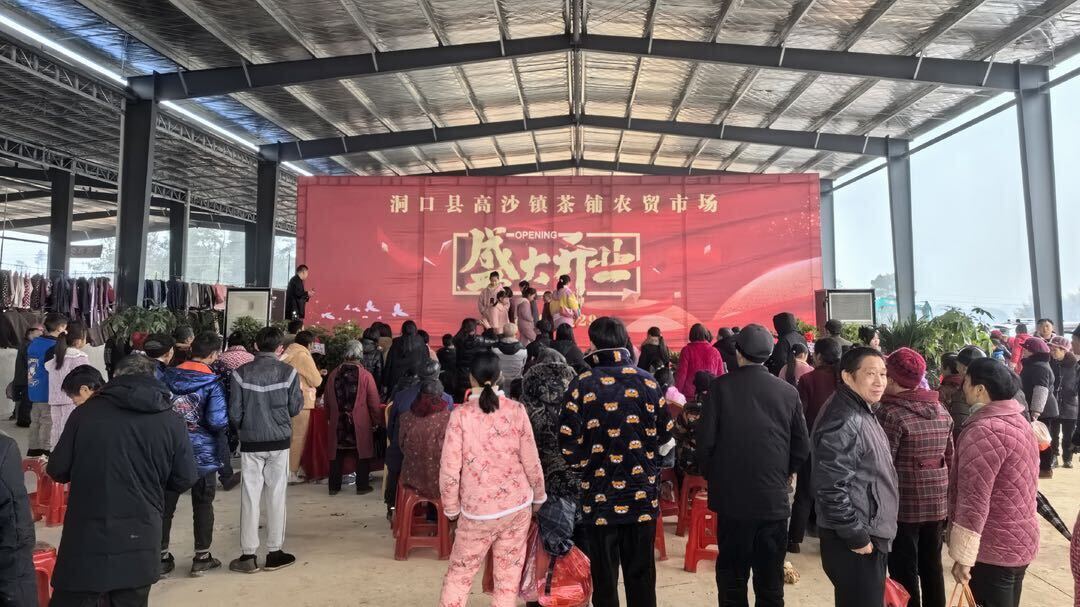 高沙镇：农贸市场焕新颜，“城乡建设”开门红