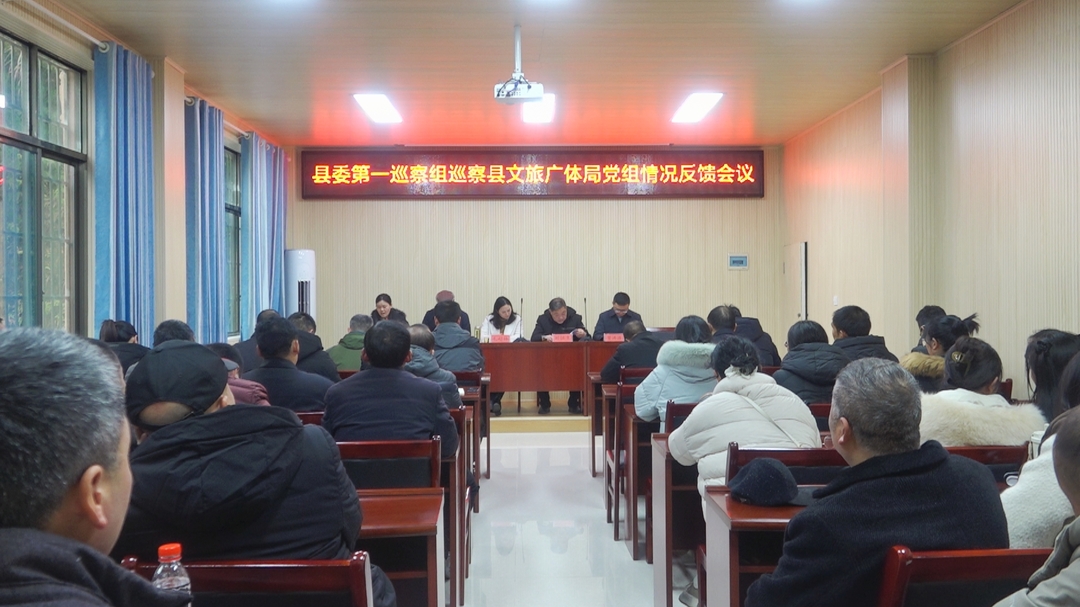 县委第一巡察组向县文旅广体局党组反馈巡察情况