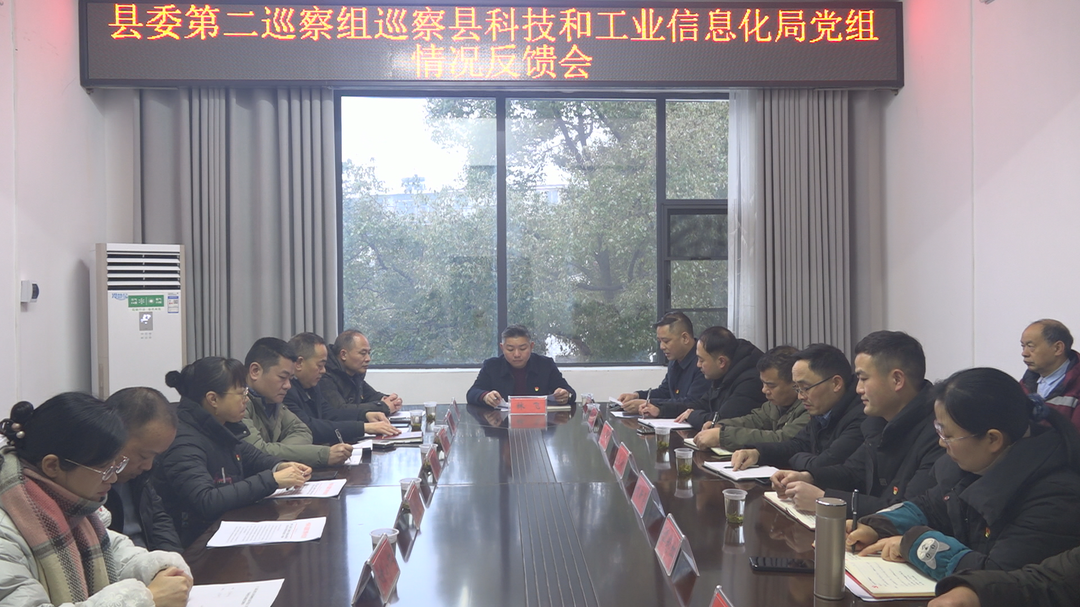 县委第二巡察组向县科技和工业信息化局党组反馈巡察情况