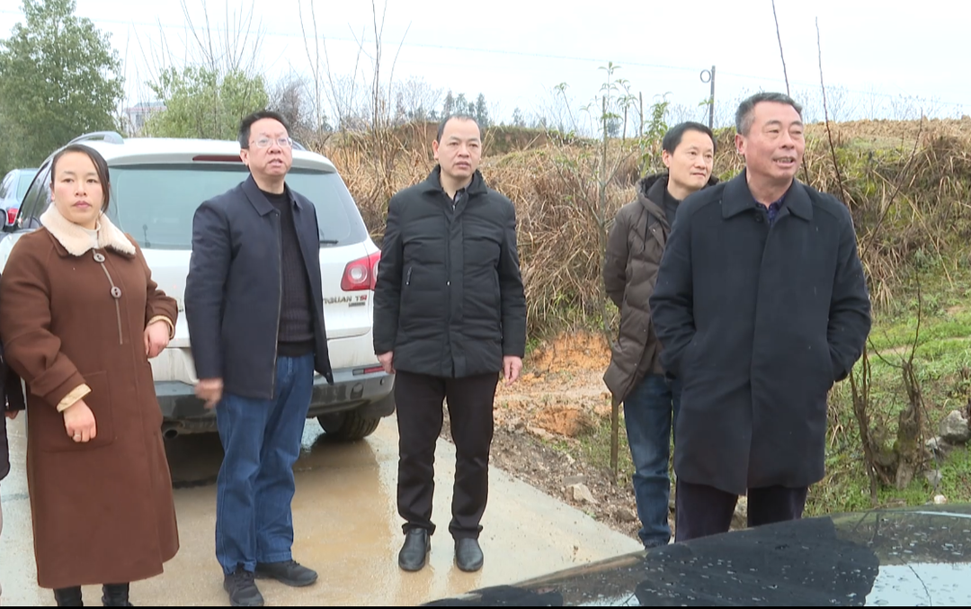 县人大科教文卫委员会到竹市镇开展“人大代表品年味”专项视察活动