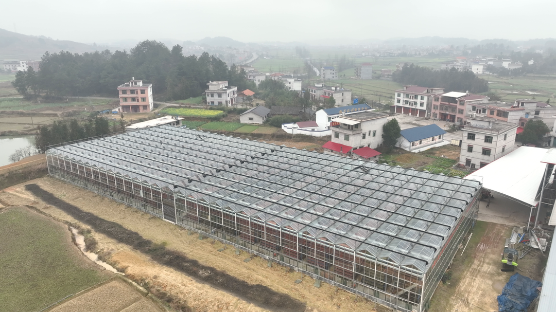 洞口县：育秧工厂备耕忙 不负农时不负春