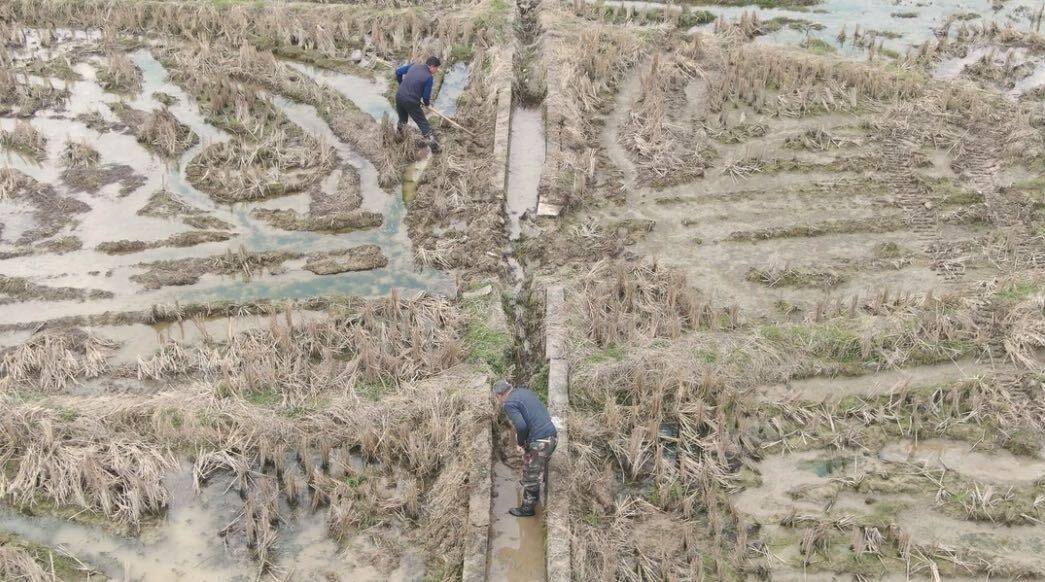 人勤春来早 春耕备耕忙