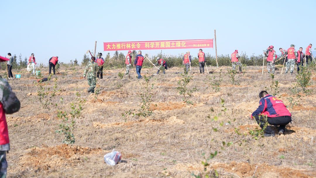 吴韬、贺永亮等县领导参加义务植树活动