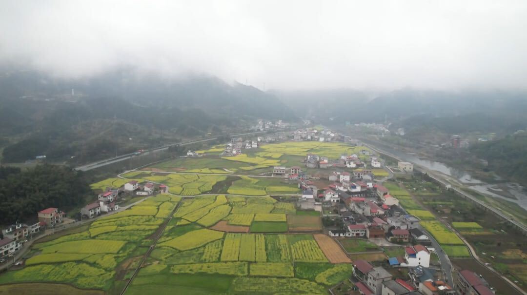 文昌街道平青村：油菜花正开，邀您游花海