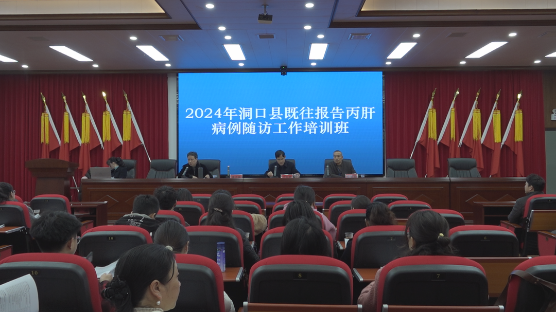 洞口县举办2024年丙肝防控工作培训班
