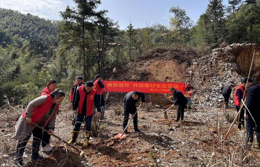 桐山乡开展“植树添绿  共建和美乡村”志愿服务活动