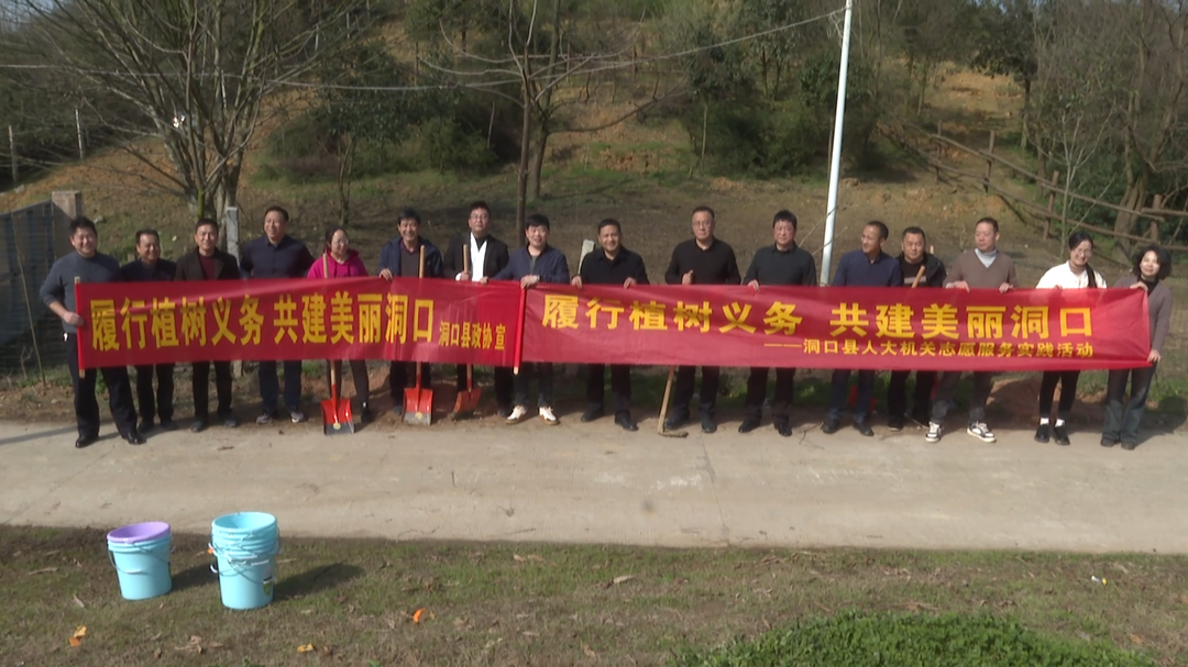 县人大、县政协机关干部开展义务植树活动