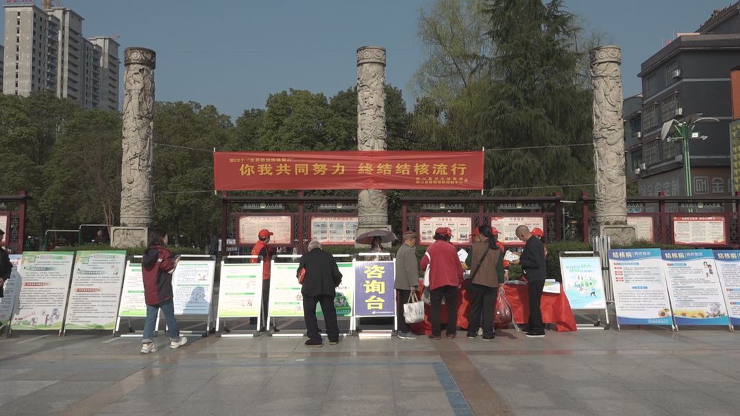 洞口县开展2024年“世界防治结核病日”主题宣传活动