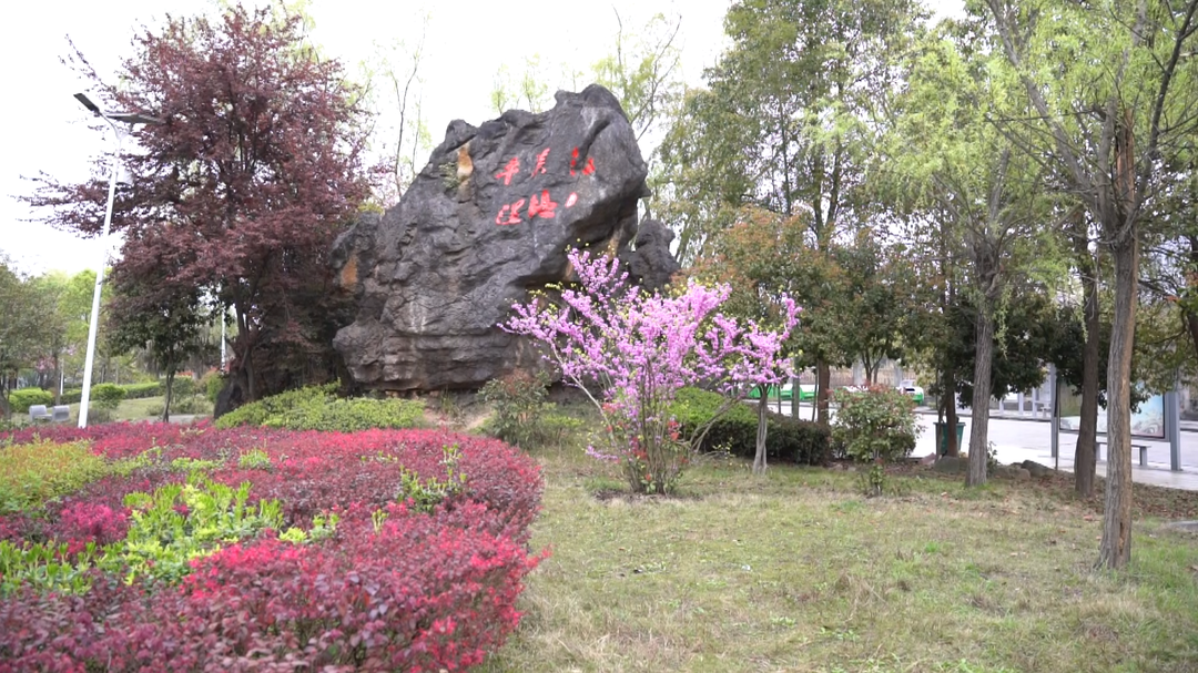 洞口县城沿江风光带:百花盛开 春意浓烈
