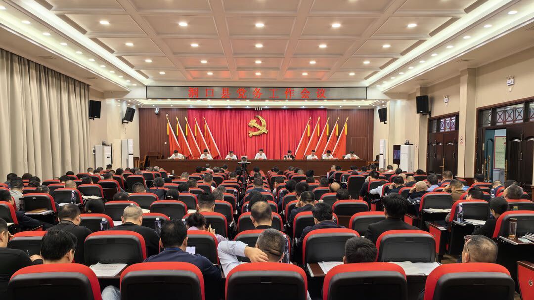 洞口县召开党务工作会议