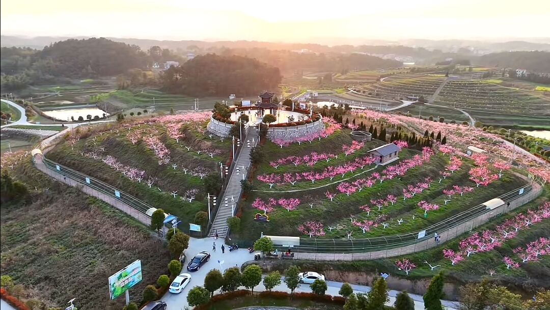 茶铺桔院：桃花盛开引客来 农文旅融合促振兴