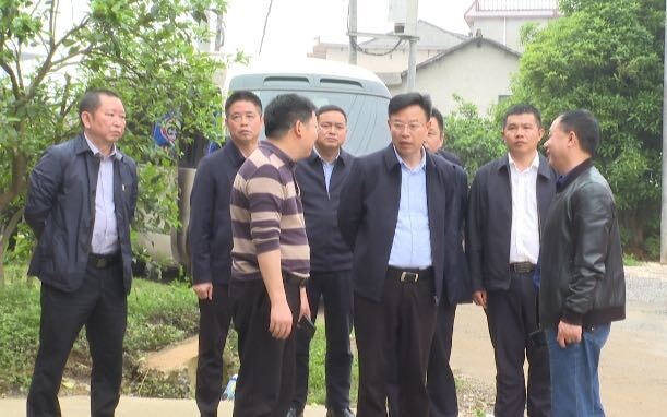 吴韬调研G356黄桥至高沙公路改建项目