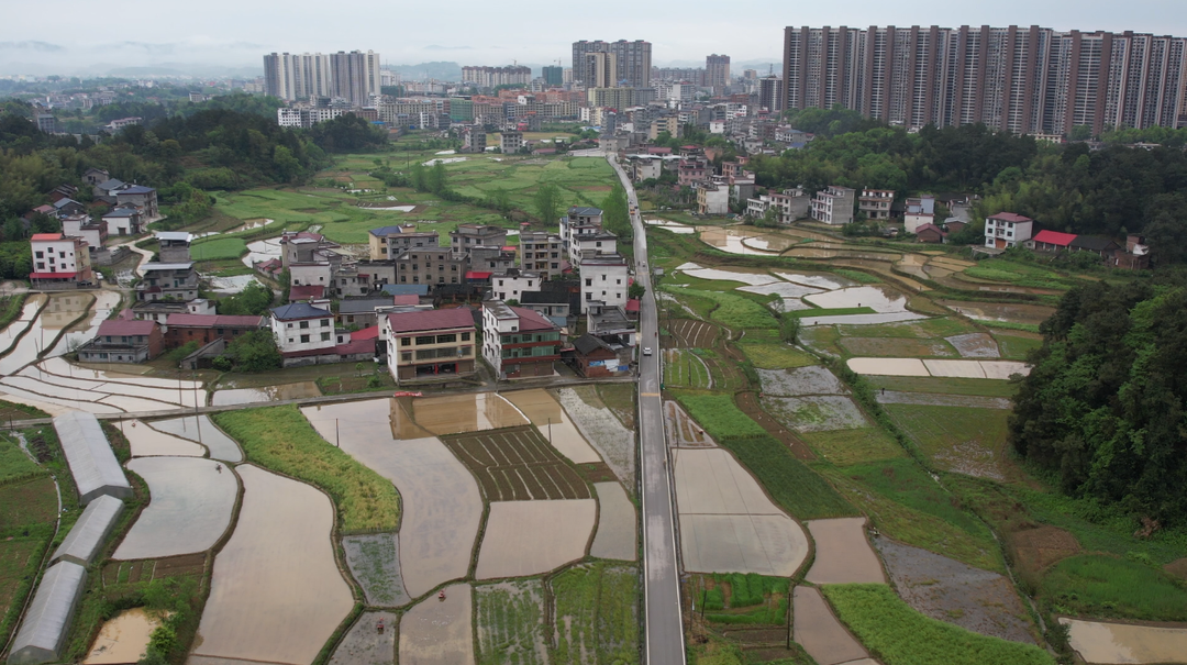 文昌街道平栋村：春日田园 生机盎然