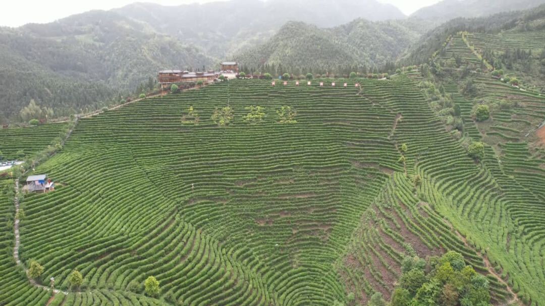 洞口：倡导文明出游 让旅游更美好