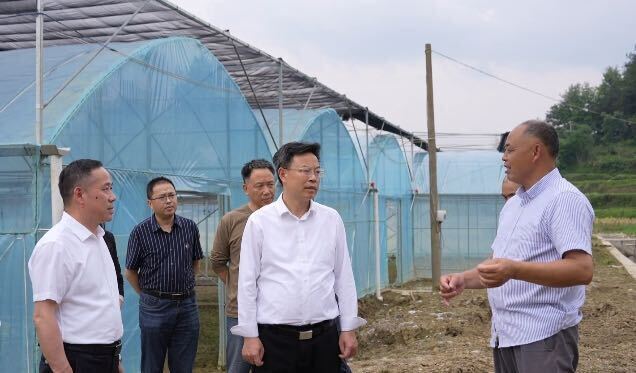 吴韬到杨林镇调研基层社会治理、“城乡建设年”、“三重点”、乡村振兴等工作
