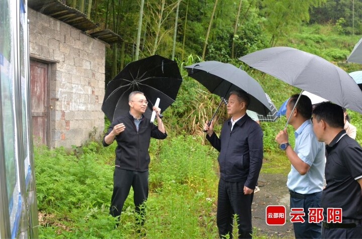 严华在洞口县督导生态环境突出问题整改工作