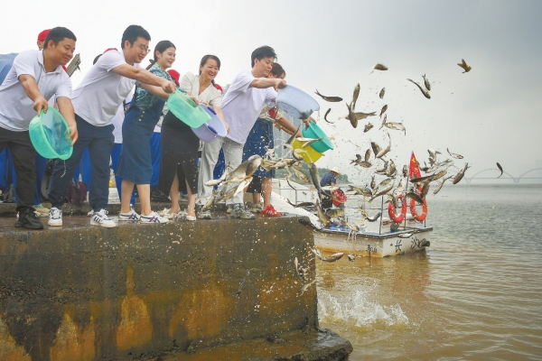 小鱼治水