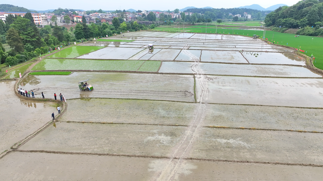 洞口县：机械化助力稻油轮作 奠定全年粮食丰收基础