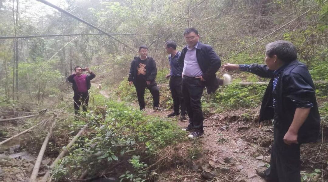 “清风”解“事结” 护农暖民心——桐山乡纪委成功调解一起涉农矛盾纠纷