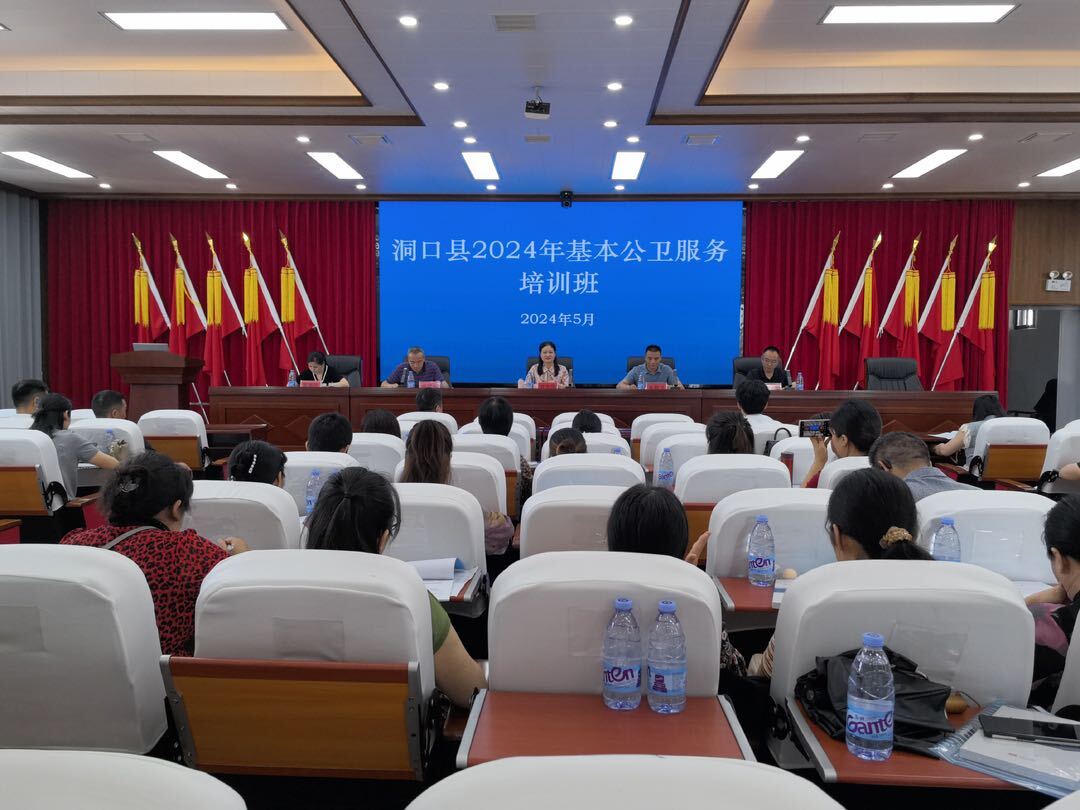 洞口县举办2024年基本公卫服务培训班