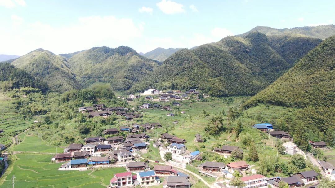 罗溪瑶族乡：竹海夏日风光美如画