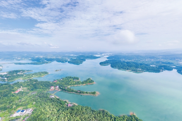 湿地公园 景色宜人