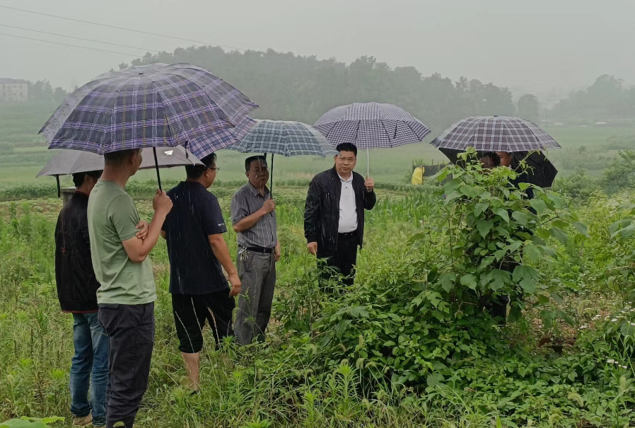 胡小革调度G356黄高公路改建项目建设(图1)