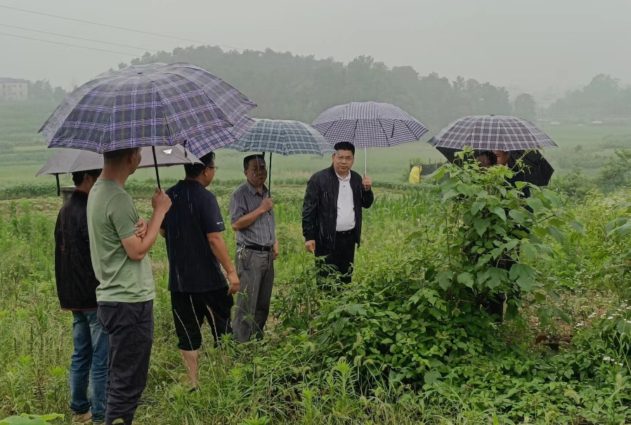 胡小革調(diào)度G356黃高公路改建項(xiàng)目建設(shè)