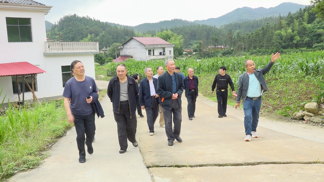 洞口县组织离退休干部参观工农业生产(图2)