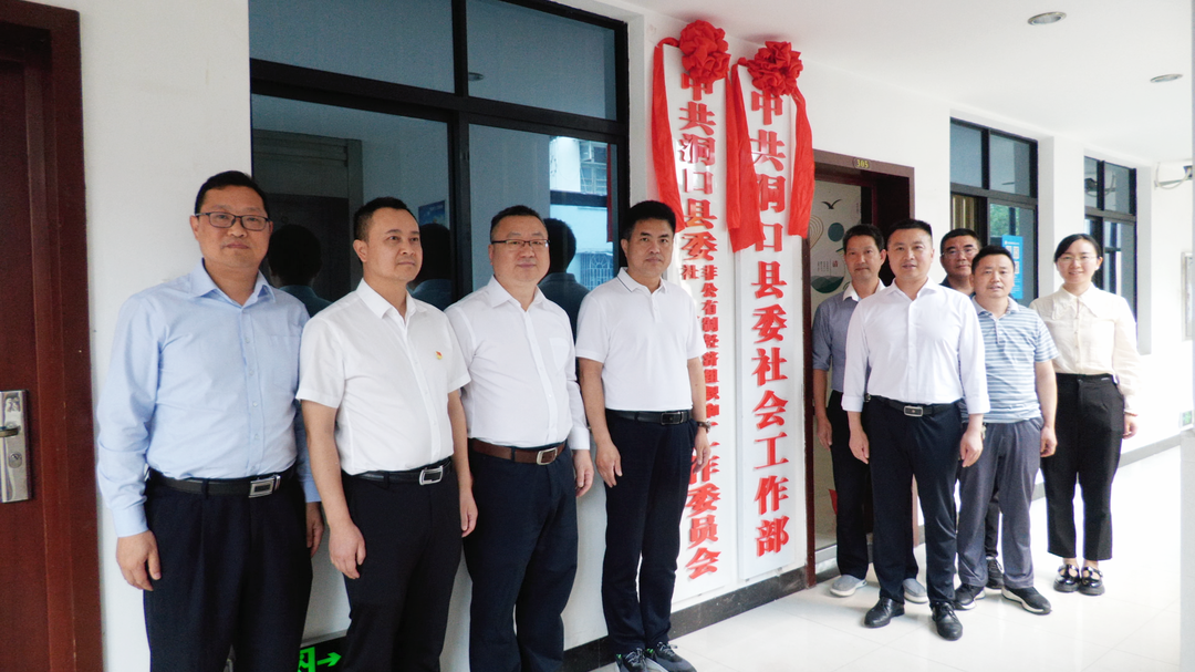 洞口县委社会工作部挂牌成立(图1)