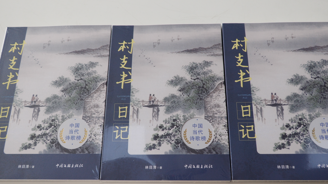 洞口县文艺家之家揭牌仪式暨本土作家林目清新书发布会顺利举行(图3)
